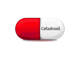 cefadroxil antibiotic