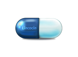 lincocin antibiotic